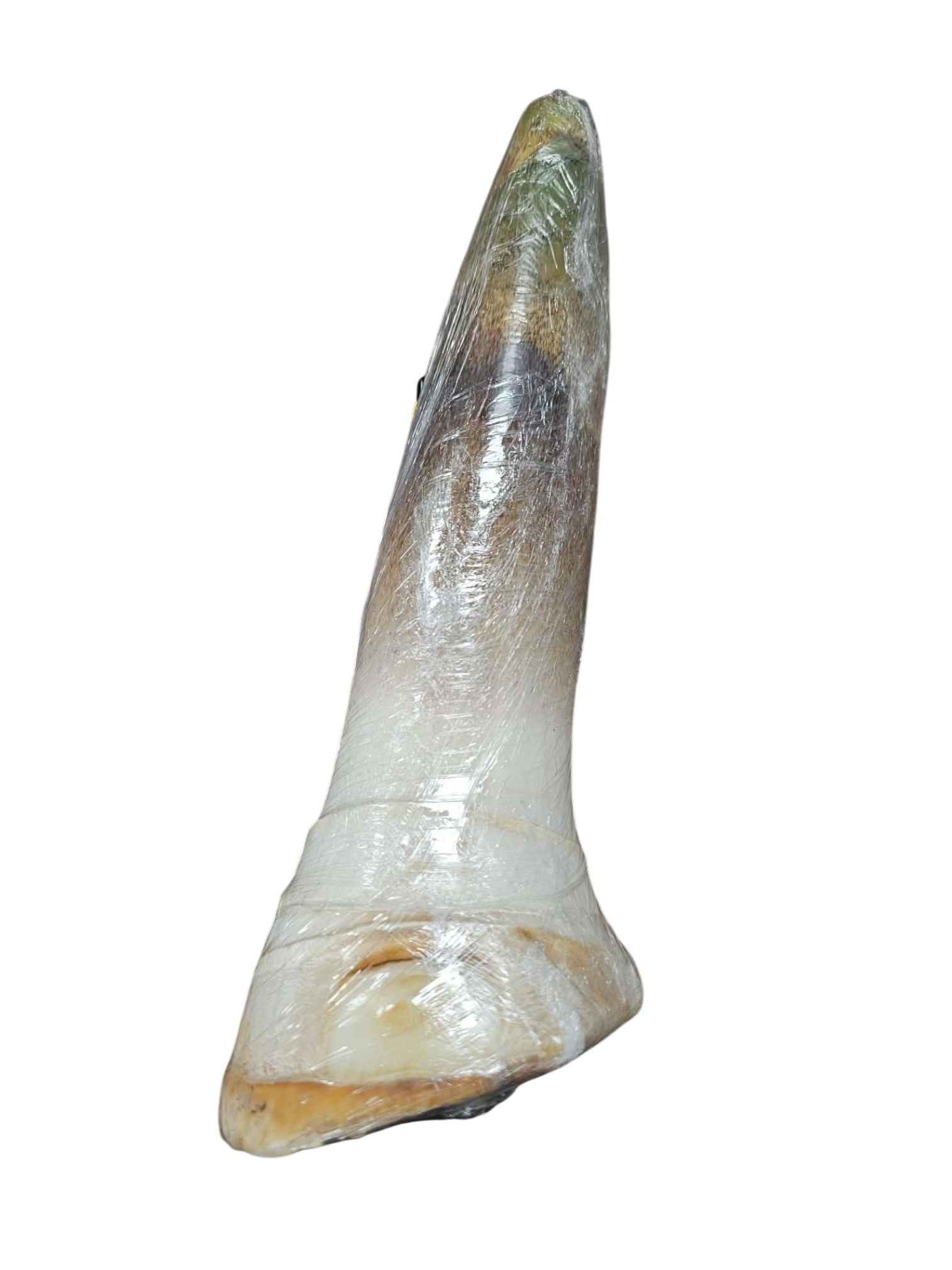 Fresh Bamboo Whole หน่อไม้สดไทย 24eu_kilo